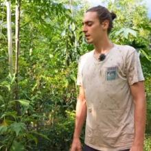 Jeff présente l'Agroforesterie